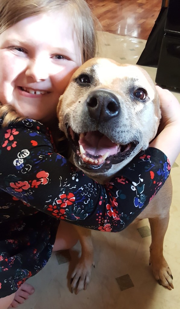 A very smiley Pit Bull, being hugged by my equally smiley seven year old.