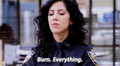 Rosa Diaz from Brooklyn Nine Nine saying "Burn. Everything."