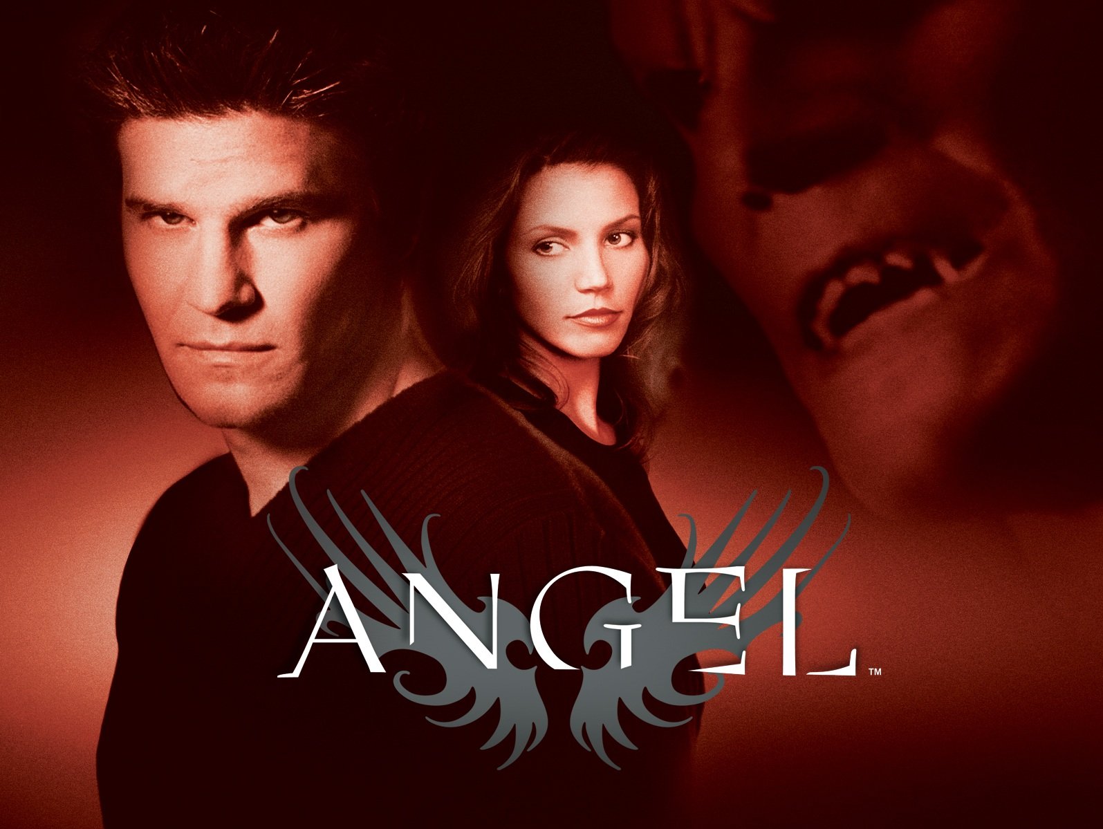 The Angel season 1 DVD cover, with Angel brooding into the camera. Cordelia stands slightly behind him, while an Olan Mills-esque floating image of Angel's vamp face is in the upper right corner.